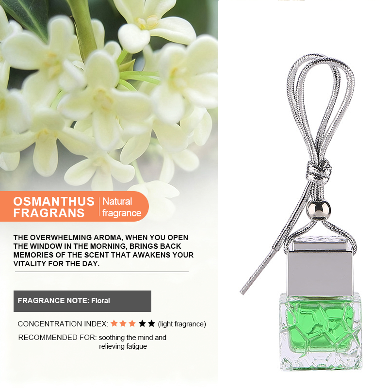 Car aroma pendant - Water Cube style - 17