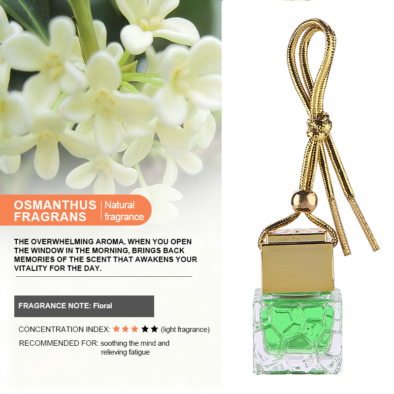 Car aroma pendant - Water Cube style - 13