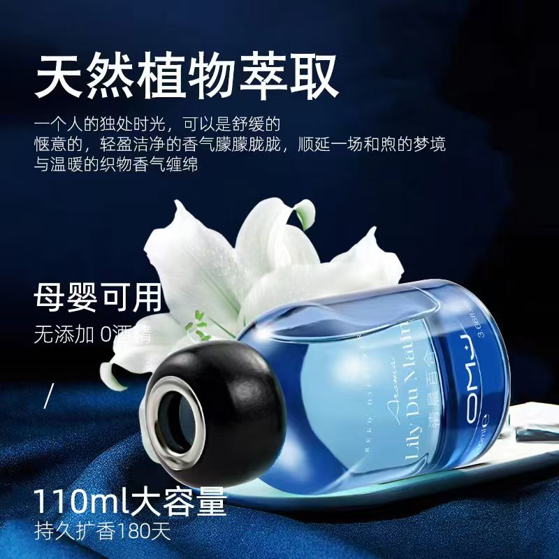 Euromeiga Collection: Orange & Green Spring Reed Diffuser - Fragrance for Every Room