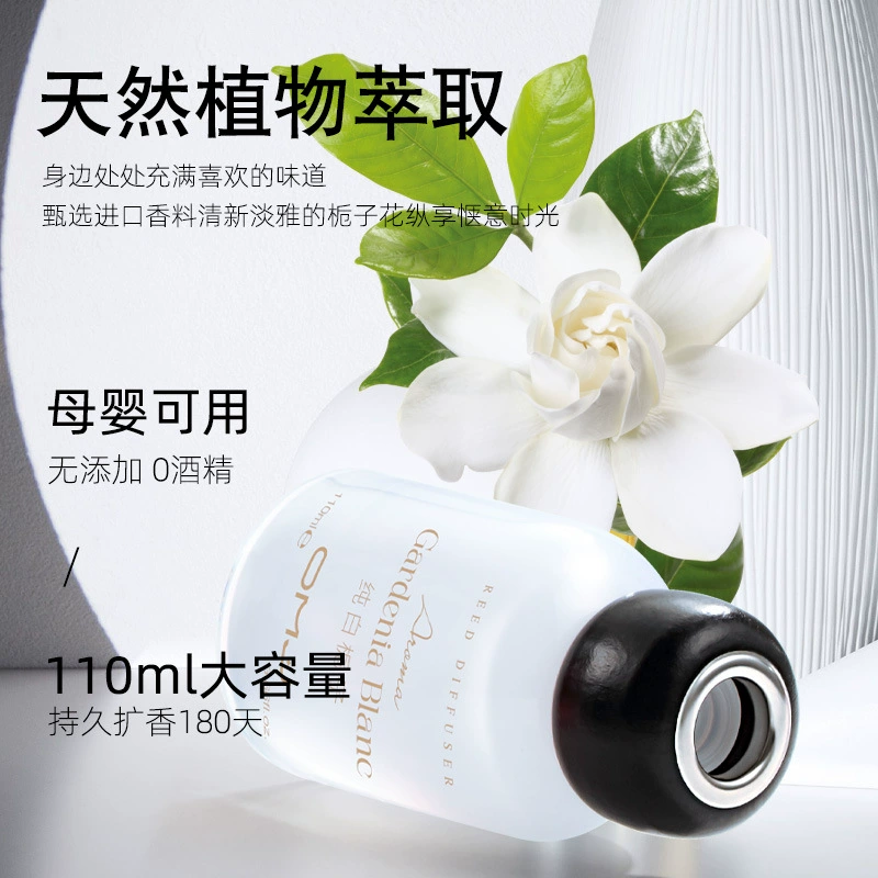 Euromeiga Collection: Orange & Green Spring Reed Diffuser - Fragrance for Every Room